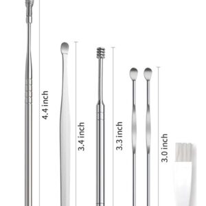 Stainless Steel Ear Wax Cleaner 6pcs With Storage Box, Reusable, Ear wax Remover Tool Kit with Curette Cleaner and Bud Cleaner